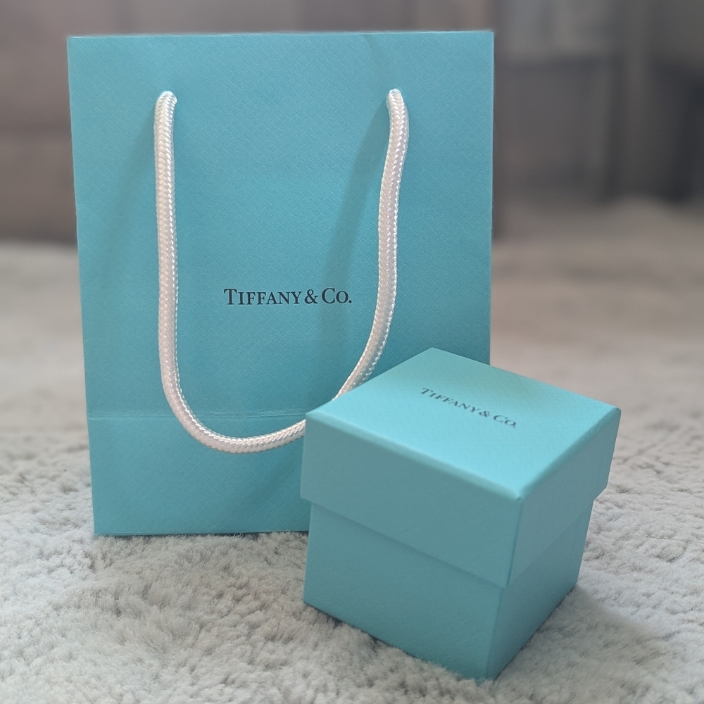 Tiffany and Co Shopping Bag and Box Set